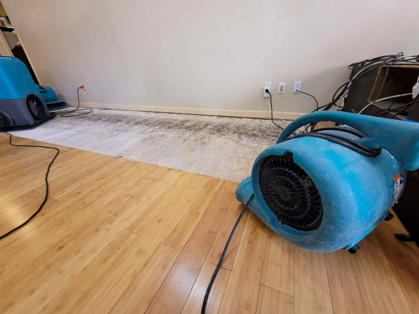 Professional Basement Flood Cleanup technician working in Kinderhook, NY